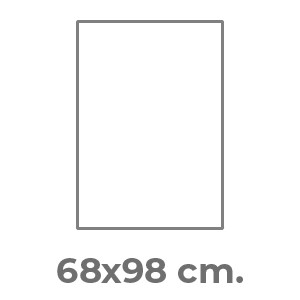 carteles fluo 68X98 Impresión 1 color 1 cara