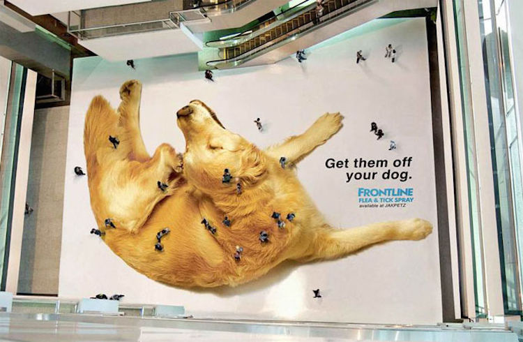 pubblicita-cane-ambient-marketing