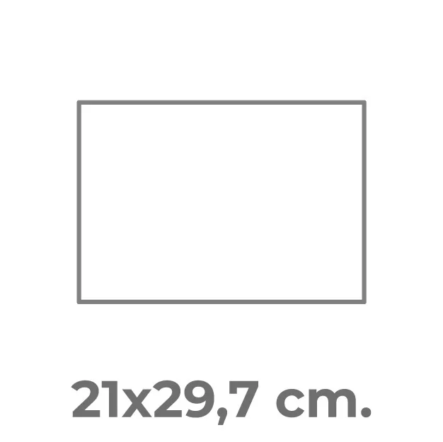 standard a3
