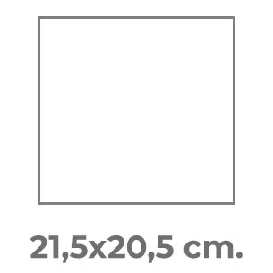 21,5x20,5 cm.