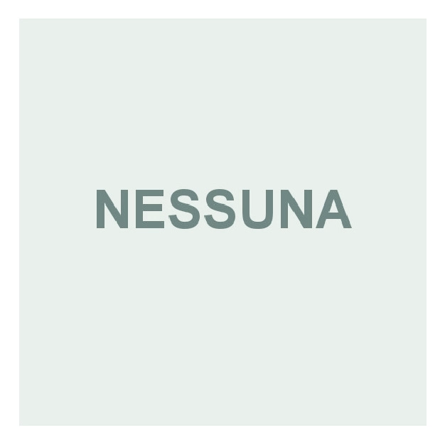 nessuna personalizzazione retro