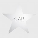 volantino stella Stella 17 x 17 Monolucido argento fronte a colori - retro ad 1 colore nero 300