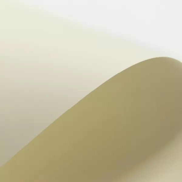 Avorio (Bianco Flash Ivory)