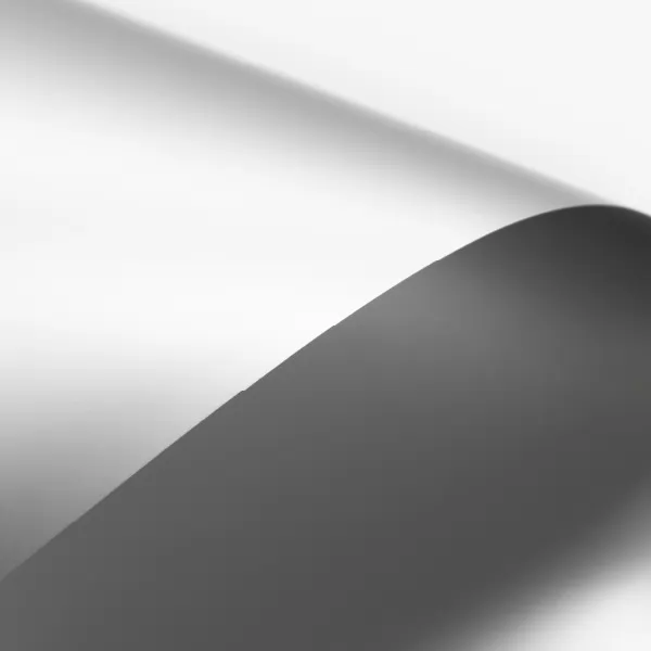 Argentata (Silver Cardboard)