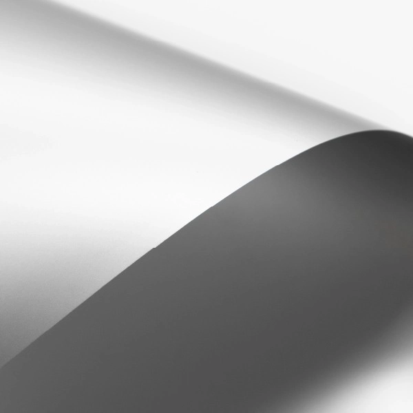 Argentata (Silver Cardboard)