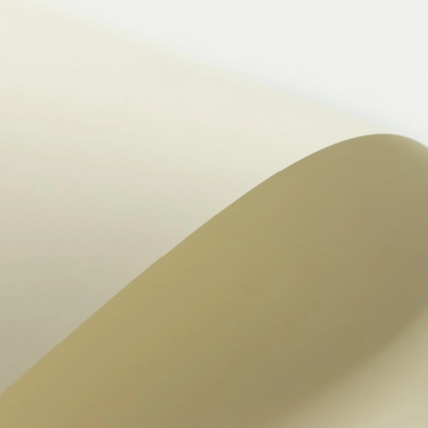 Avorio (Bianco Flash Ivory)